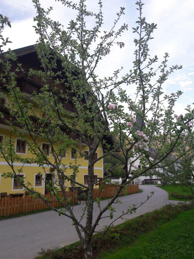 Biobauernhof Hauserbauer Hintersee Exteriér fotografie