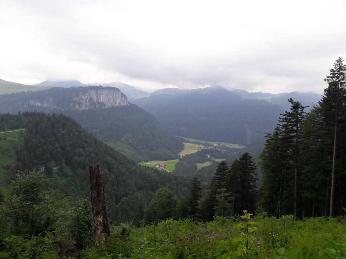 Biobauernhof Hauserbauer Hintersee Exteriér fotografie